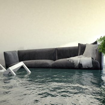 Flooded home with waste water.
