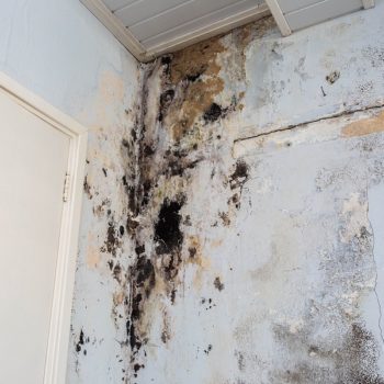 Water damage causing mold growth on the interior walls of a dirty property.