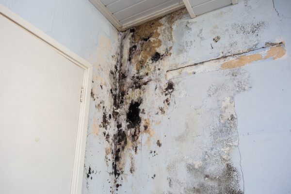 Water damage causing mold growth on the interior walls of a dirty property.