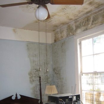Mold on the wall and ceiling.