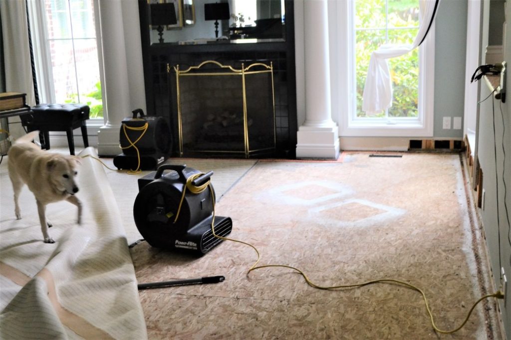 Water damage mitigation work at a water damaged home.