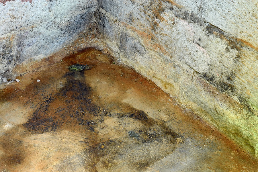 Water damage and mold in basement. Image for home renovation and house industry.
