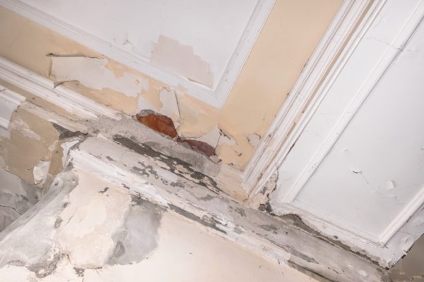 Water damage in the ceiling and walls that led ti mold growth.