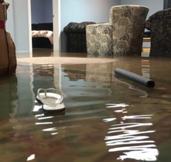 Flooded living room. Slippers floating.